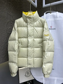 Куртки И Пуховики Мужские Moncler 1895925