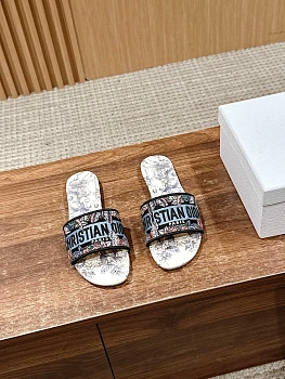 Шлепанцы Женские Christian Dior 11600099