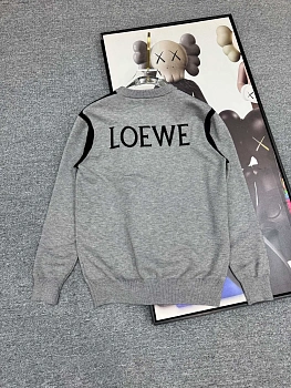 Джемперы И Свитеры Мужские Loewe 237311