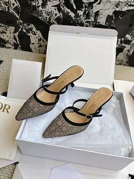 Туфли Женские Christian Dior 16302