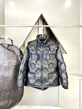 Куртки И Пуховики Мужские Louis Vuitton 375423