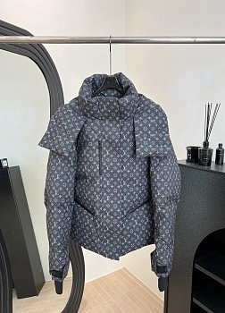 Куртки И Пуховики Женские Louis Vuitton 441416