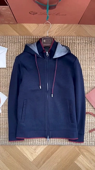 Куртки И Пуховики Мужские Loro Piana 11182715