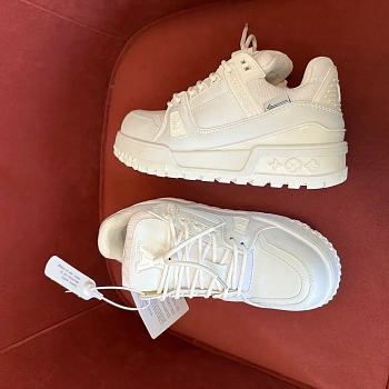 Кроссовки Мужские Louis Vuitton 28763