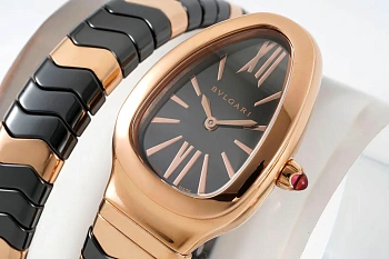 Часы Женские Bvlgari 11696051