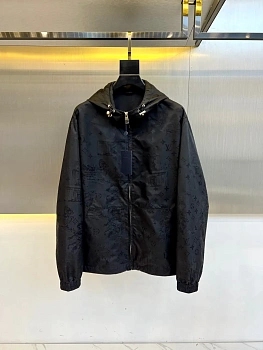 Куртки И Пуховики Мужские Louis Vuitton 30649