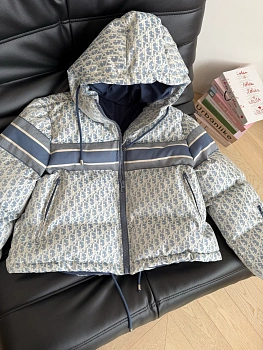 Куртки И Пуховики Женские Louis Vuitton 234301