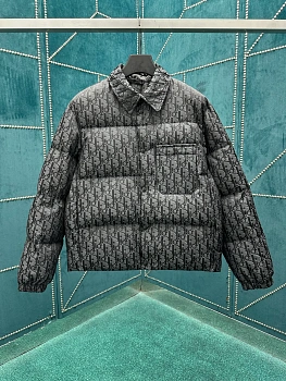 Куртки И Пуховики Мужские Christian Dior 569100