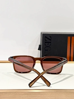 Очки Zegna 528748