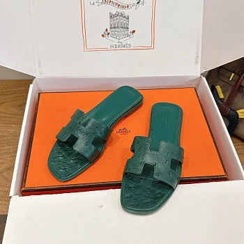 Шлепанцы Женские Hermes 10813793