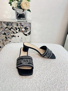 Босоножки Женские Christian Dior 16858