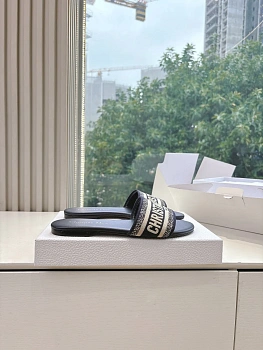 Шлепанцы Женские Christian Dior 1156190