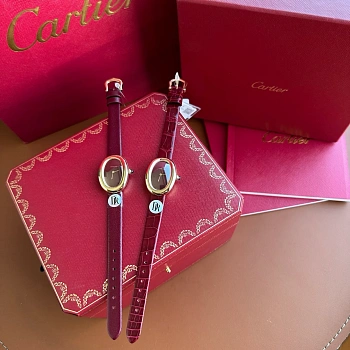 Часы Женские Cartier 693177