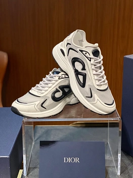 Кроссовки Мужские Christian Dior 529902