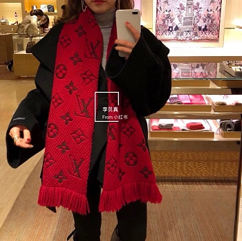 Шарфы Louis Vuitton 263939