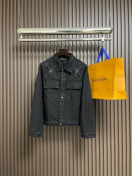 Куртки И Пуховики Мужские Louis Vuitton 626727