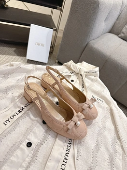 Балетки Женские Christian Dior 11498111
