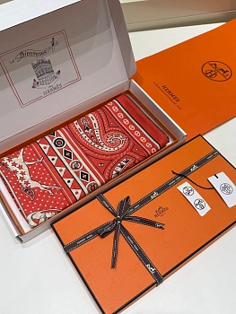 Шарфы Hermes 11773039