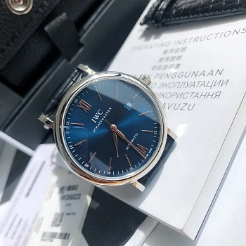 Часы Мужские Iwc 187129