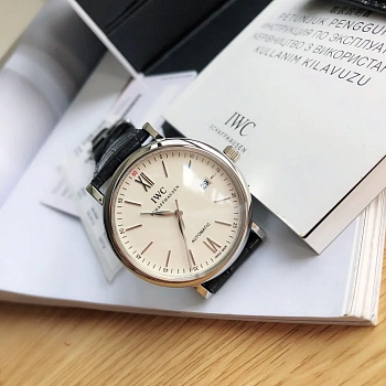 Часы Мужские Iwc 187134
