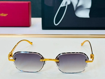 Очки Cartier 11649620