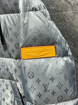 Куртки И Пуховики Мужские Louis Vuitton 5023440