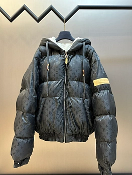 Куртки И Пуховики Женские Louis Vuitton 259878