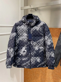 Куртки И Пуховики Мужские Louis Vuitton 492840