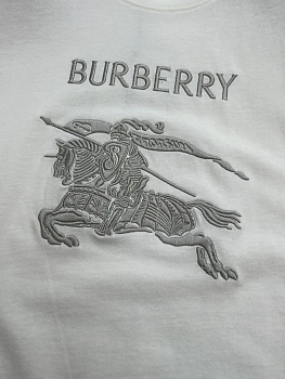 Футболки Мужские Burberry 1569249