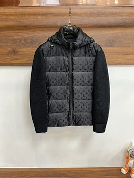 Куртки И Пуховики Мужские Louis Vuitton 560405