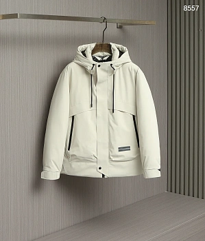 Куртки И Пуховики Мужские Zegna 445473