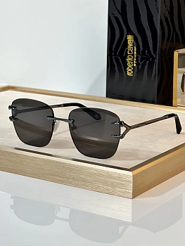 Очки Roberto Cavalli 205196