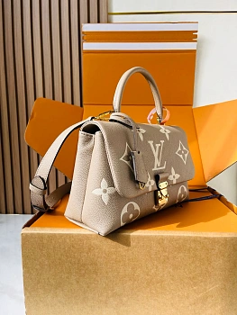 Классические Сумки Женские Louis Vuitton 12860029