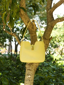 Классические Сумки Женские Celine 33340