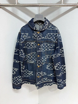 Куртки И Пуховики Мужские Louis Vuitton 1860163