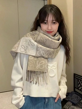 Шарфы Loewe 3835