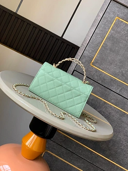 Классические Сумки Женские Chanel 10031159