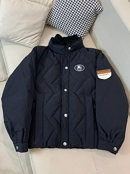 Куртки И Пуховики Мужские Burberry 986554