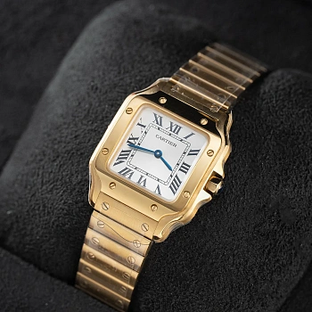 Часы Женские Cartier 9892601