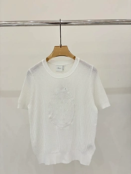 Футболки Женские Christian Dior 13352846